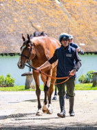 NH030523-101 - Nicky Henderson Stable Visit